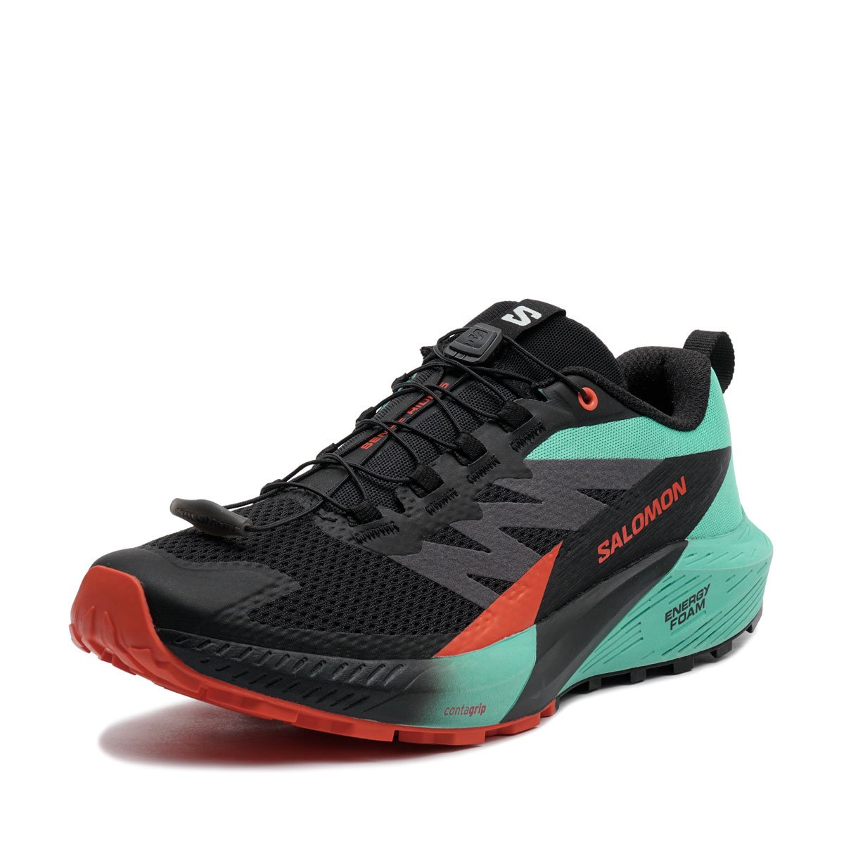 Salomon Sense Ride 5 Мъжки маратонки 476982